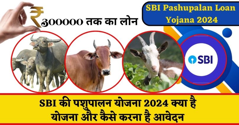 SBI Pashupalan Loan Yojana 2024 : SBI की पशुपालन योजना 2024 क्या है योजना और कैसे करना है आवेदन