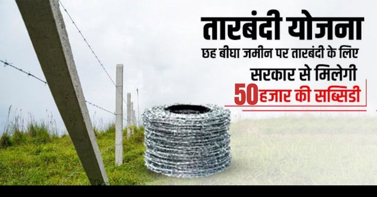 राजस्थान बजट में किसानों के लिए क्या-क्या है? - 50 हजार किसानों को तारबंदी के लिए 50 प्रतिशत अनुदान