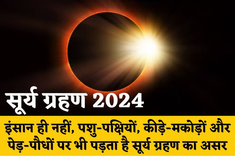 Solar Eclipse 2024 : इंसान ही नहीं, पशु-पक्षियों, कीड़े-मकोड़ों और पेड़-पौधों पर भी पड़ता है सूर्य ग्रहण का असर