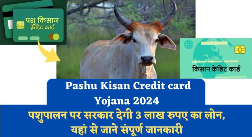 Pashu Kisan Credit card Yojana 2024 : पशुपालन पर सरकार देगी 3 लाख रुपए का लोन, यहां से जाने संपूर्ण जानकारी